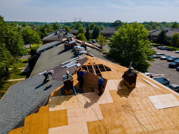 Best Flat Roof Repair Services  in El Paso, IL