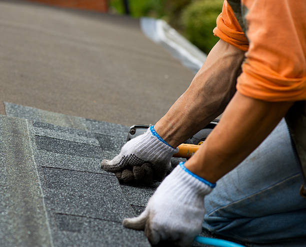 Best New Roof Installation  in El Paso, IL