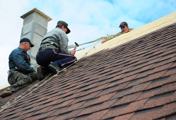 Best Roofing Contractor Near Me  in El Paso, IL